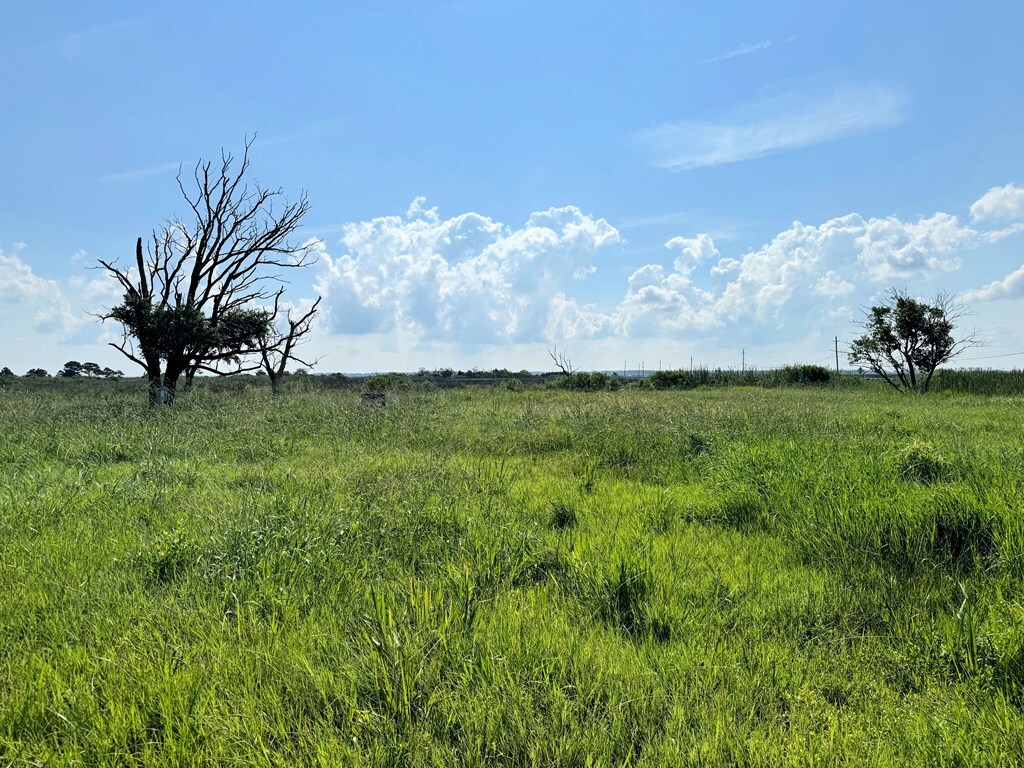 Property Photo:  Lot 117 Matthews Rd  VA 23427 