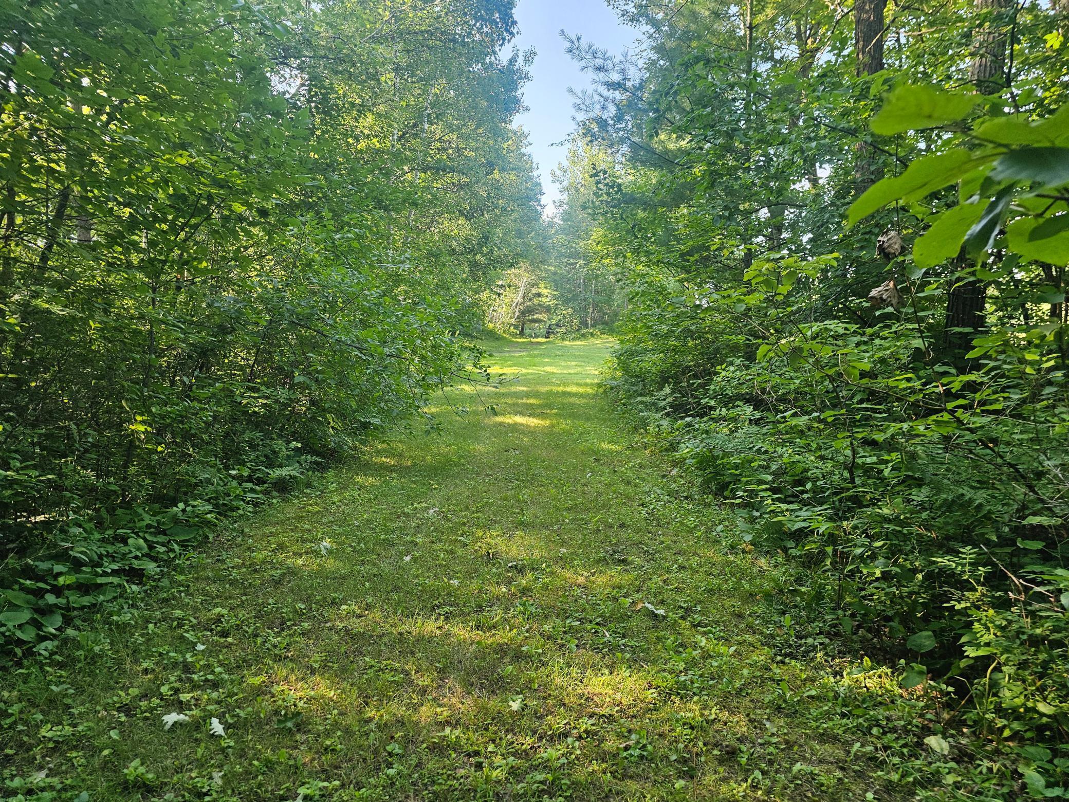 Property Photo: Tbd Lot 2 Bunny Lane MN 56441