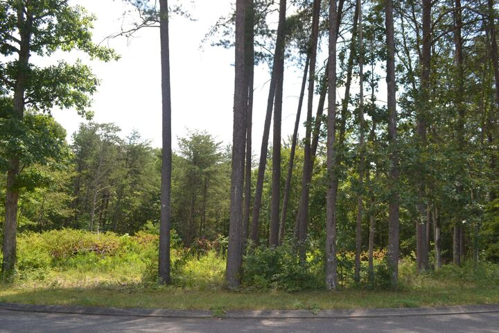 Property Photo:  16 Countryside Drive  TN 37327 