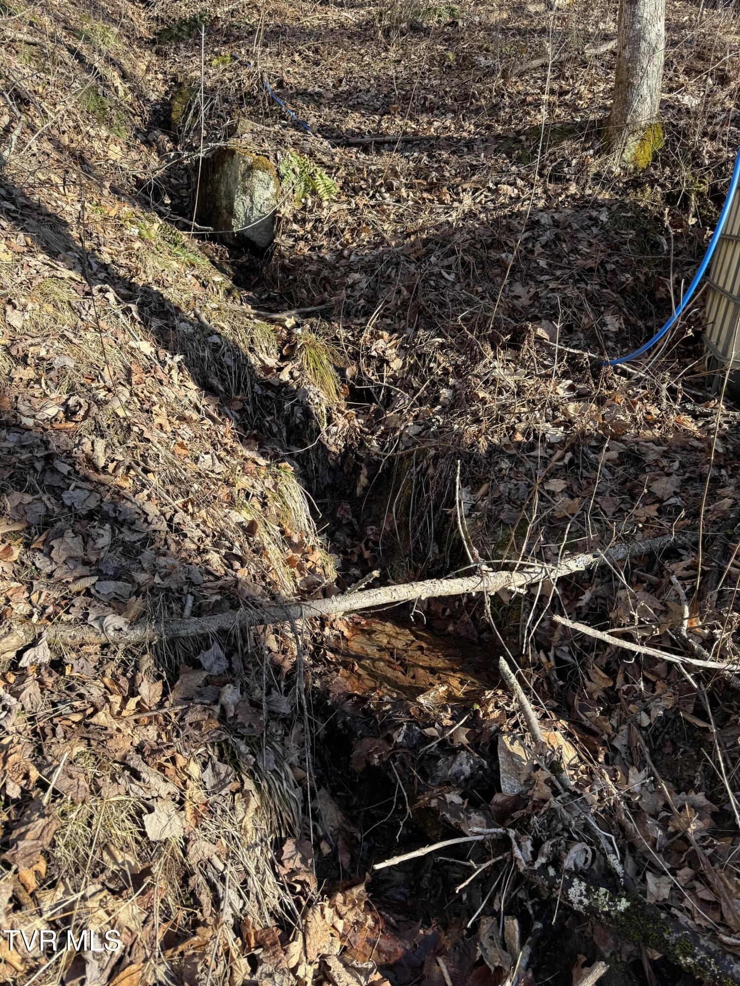 Property Photo: 6020 Forge Creek Road TN 37683