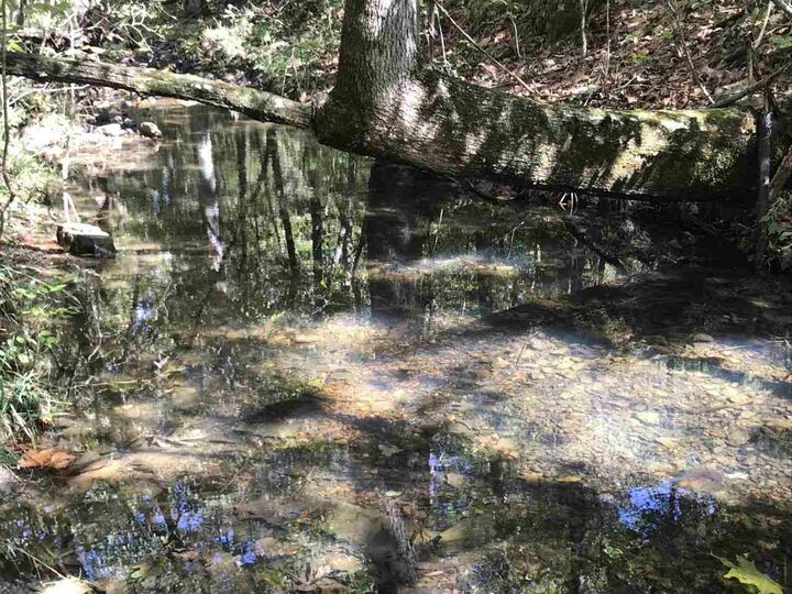 96 Acres Powell Hollow Road  Williford AR 72482 photo