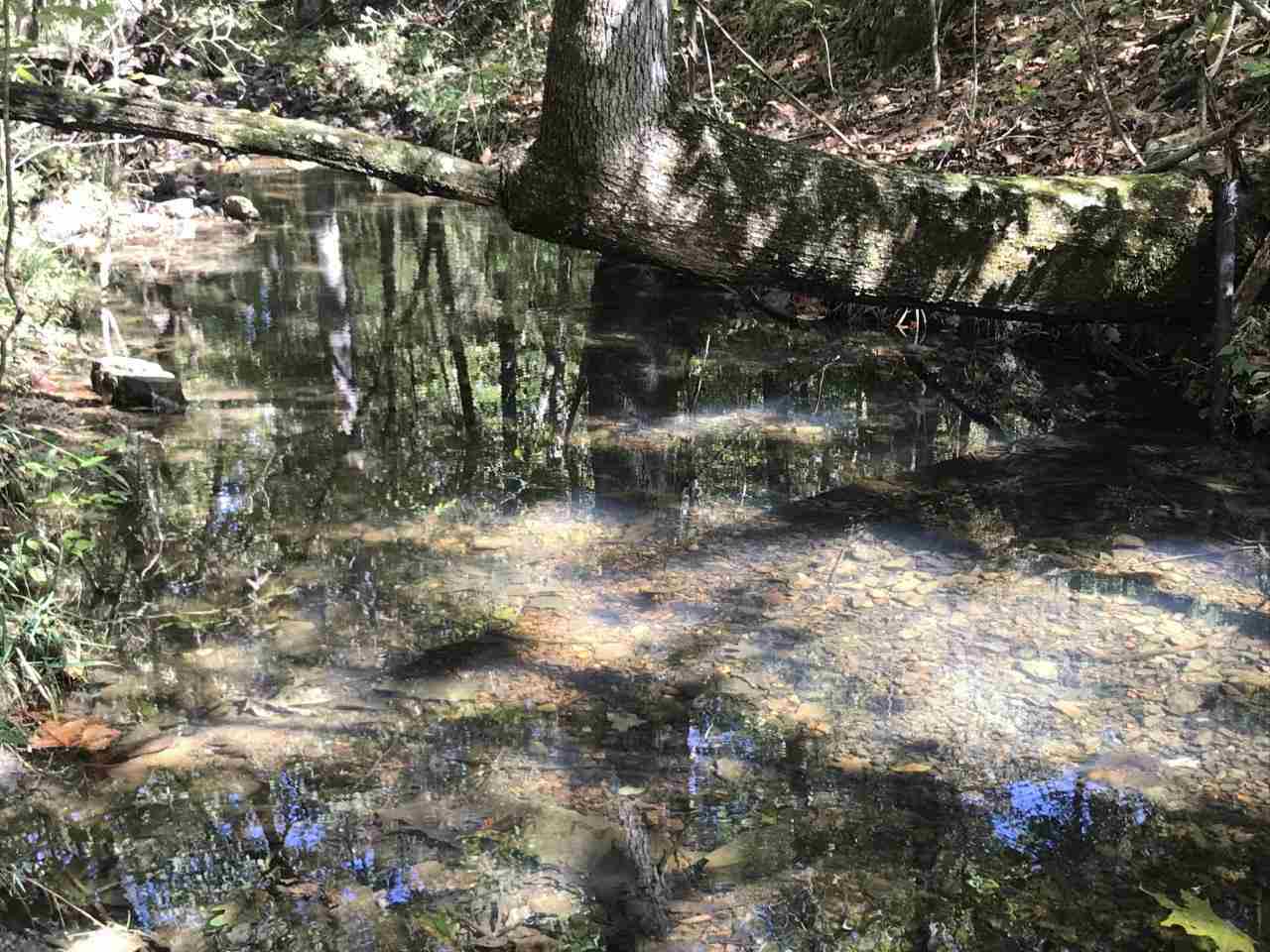 Property Photo:  96 Acres Powell Hollow Road  AR 72482 