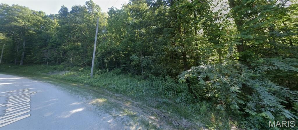 Property Photo:  40 Winding Lane  MO 63379 