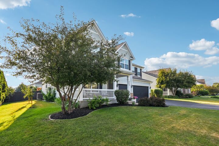 Property Photo:  223 Julep Avenue  IL 60543 