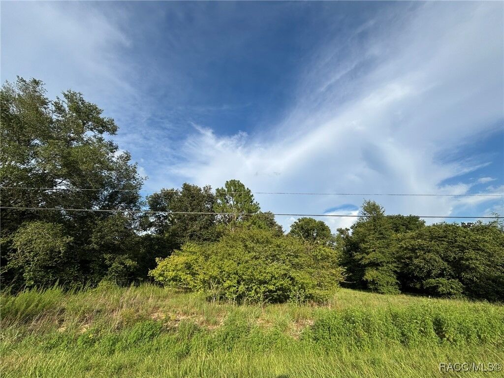 Property Photo: 802 Independence Highway FL 34453