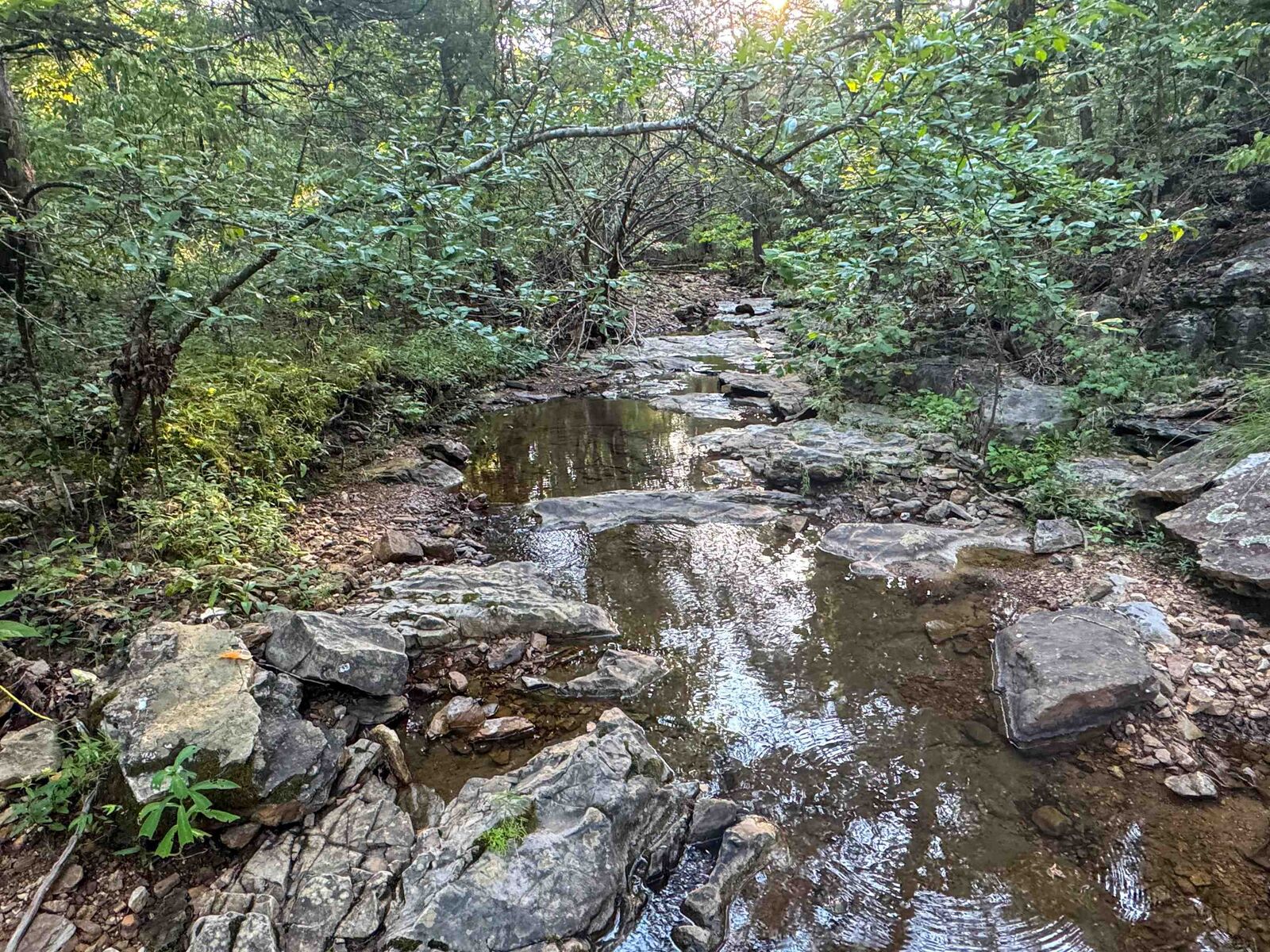Property Photo: 000 Duncan Ln AR 72569