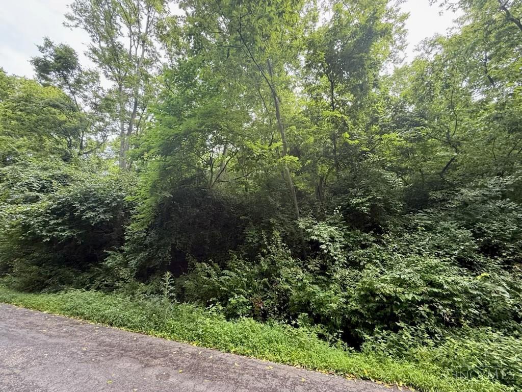 Property Photo: 0 Hillside Avenue OH 45233