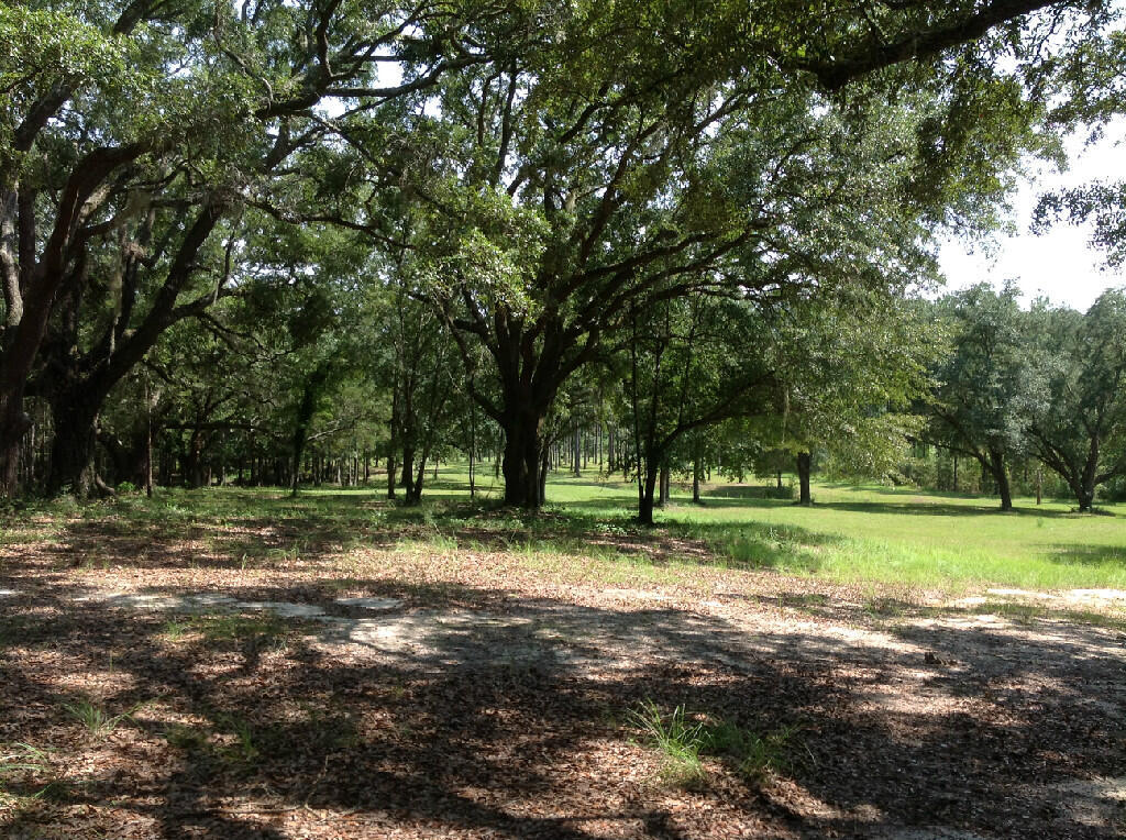 Property Photo: 31 Canopy Oak Road FL 32425