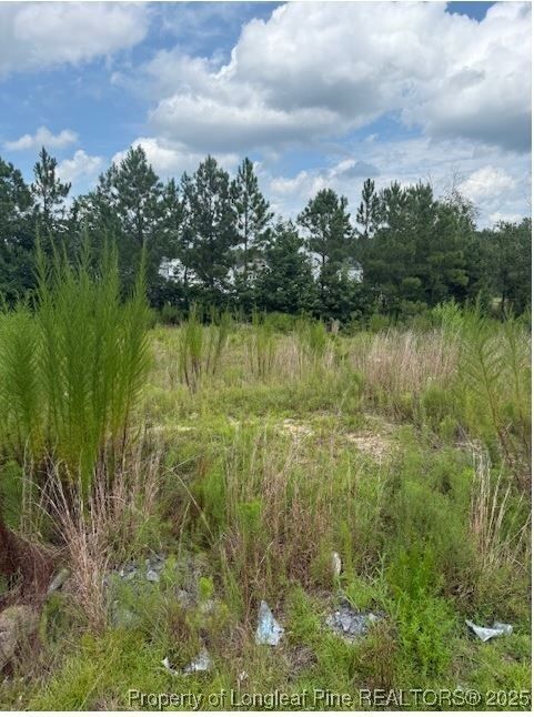 Property Photo:  457 Pittfield Run  NC 28326 