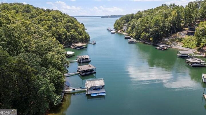 Property Photo:  0 Chinquapin Lane  GA 30041 