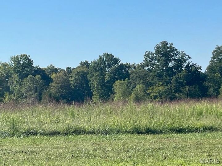 Property Photo: 7 Lot Ridgefield Drive MO 63701