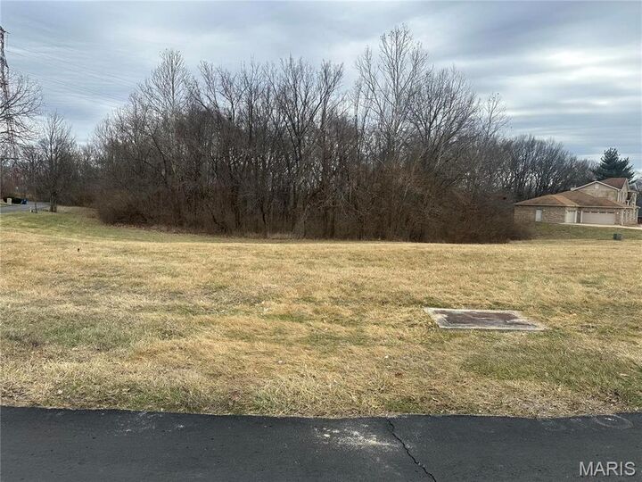 Property Photo: 1548 Fountainhead Lane MO 63138