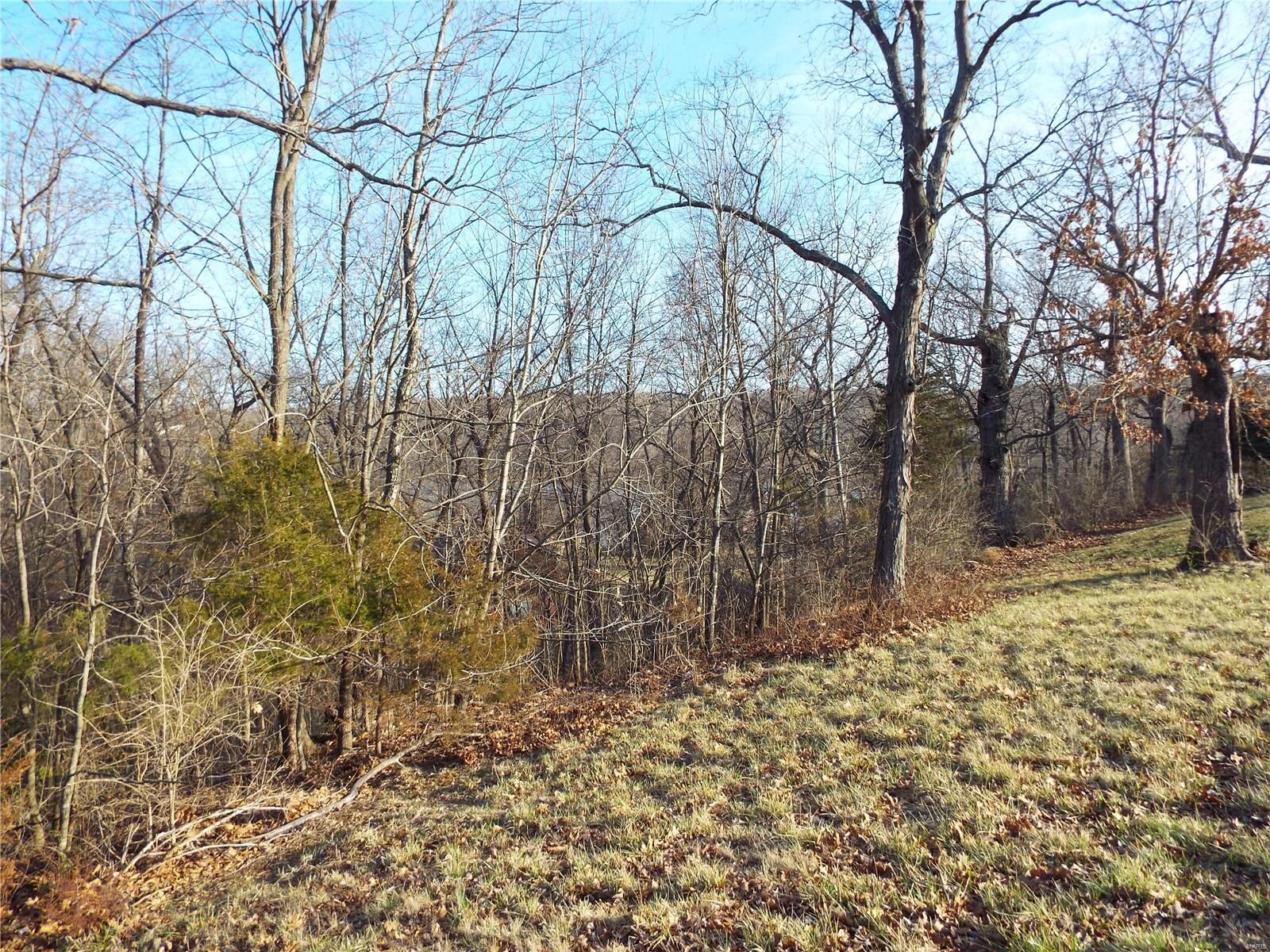 Property Photo: 475 Incline Village Drive W MO 63348