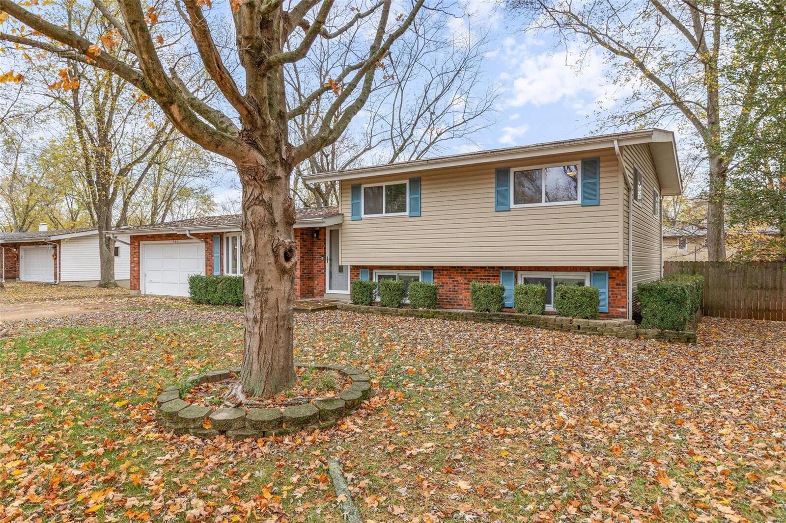 Property Photo:  406 Smith Street  MO 63640 