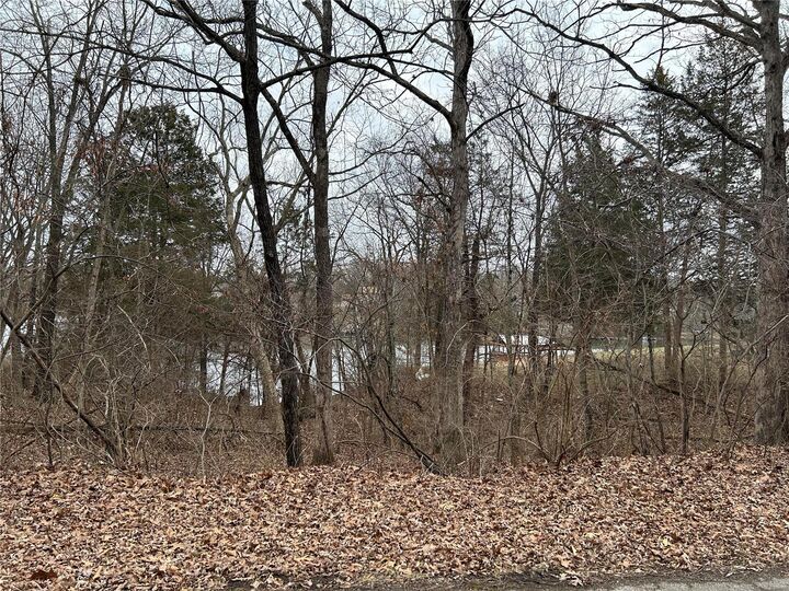 Property Photo: 0 Section 5 Lots 10 &Amp 11 MO 63020