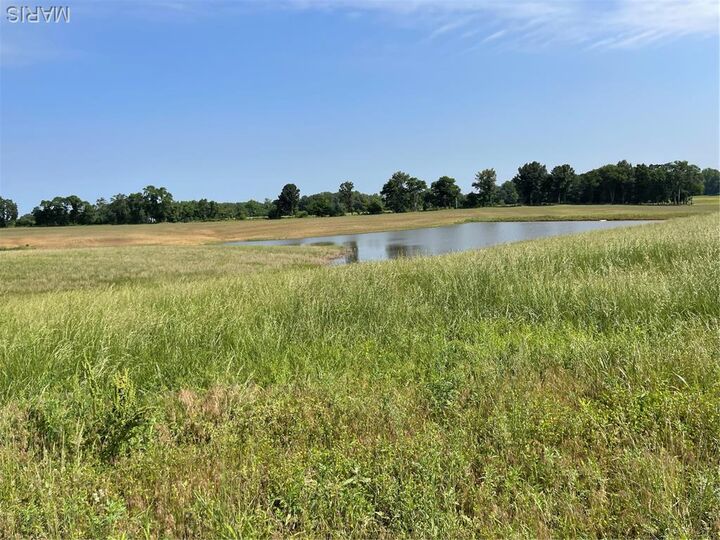 Property Photo:  0 Tract 5 County Road 260/262  MO 63825 