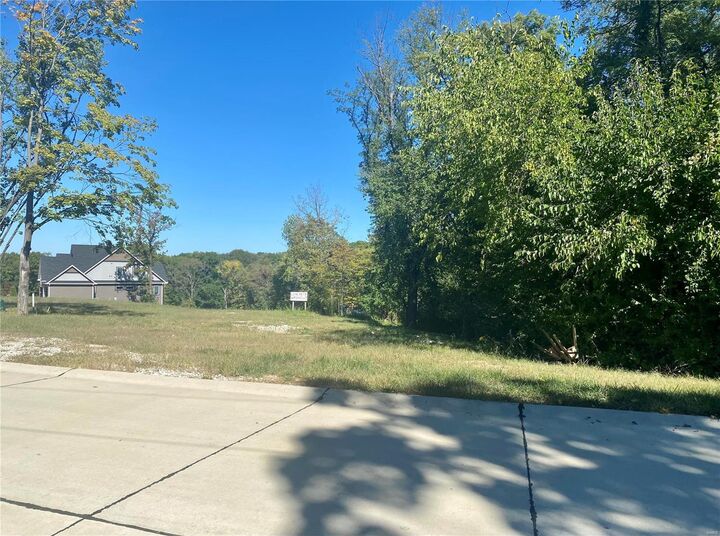 Property Photo:  2017 Lily Avenue  MO 63122 