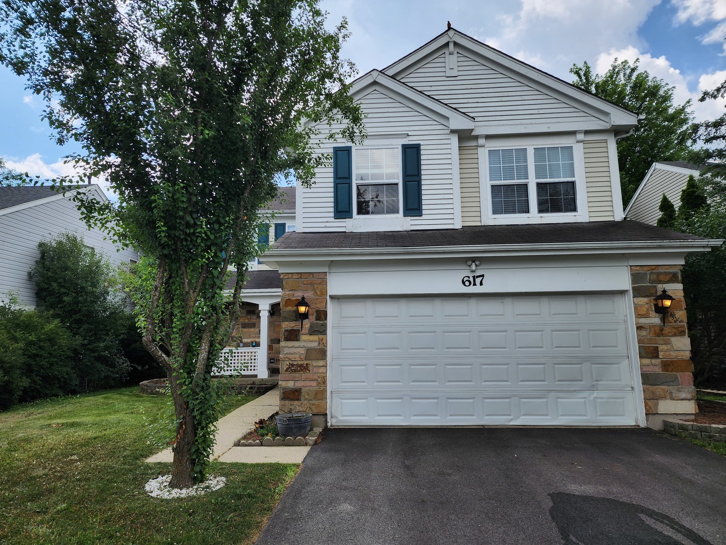 Property Photo: 617 E London Court IL 60073