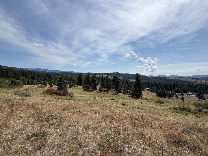 Property Photo: Tbd Seth Ln WA 99166