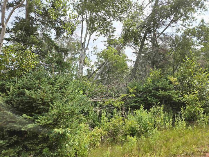 Lot Hazels Way  Gaspereaux PE C0A 1R0 photo