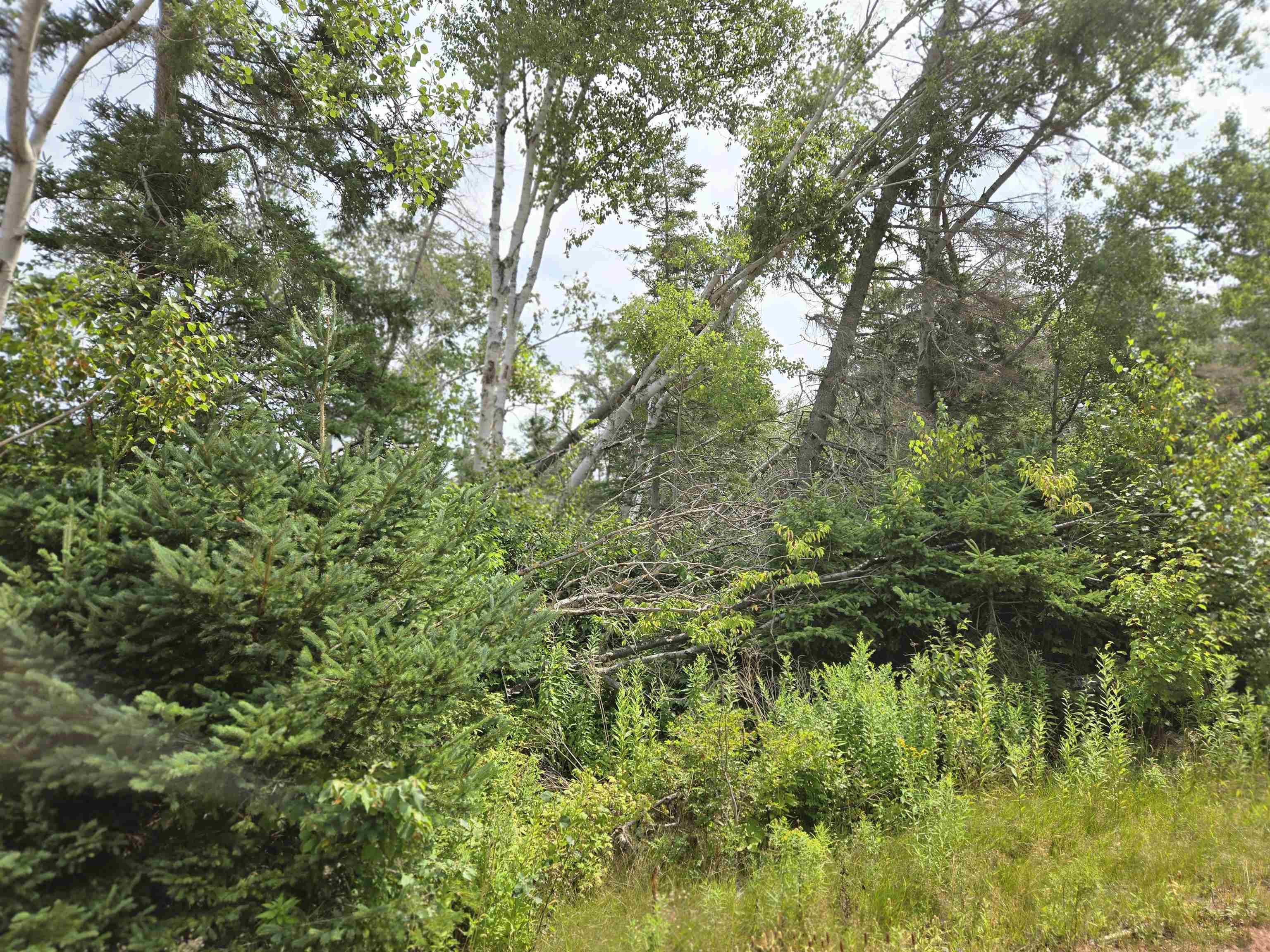 Property Photo:  Lot Hazels Way  PE C0A 1R0 