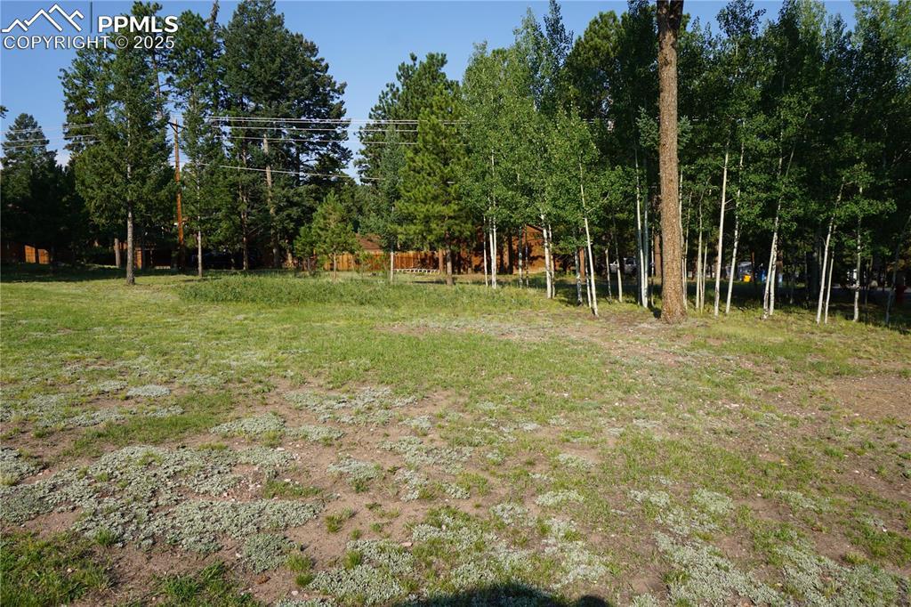 Property Photo: W Bowman Avenue CO 80863