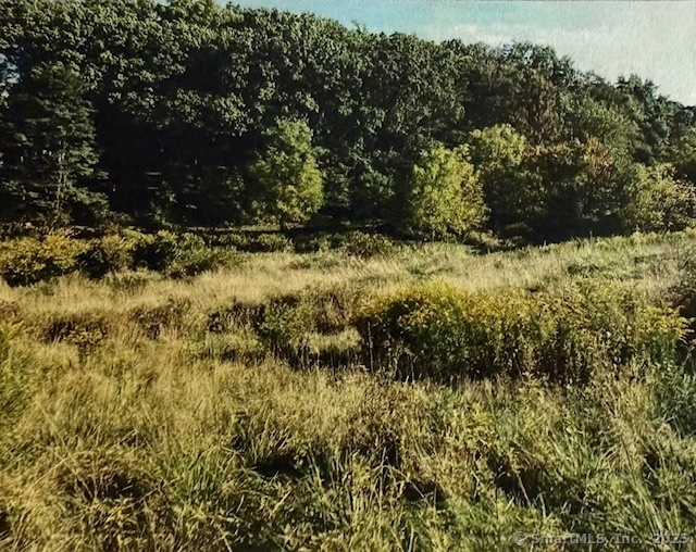 Property Photo:  231 New Cheshire Road  CT 06492 