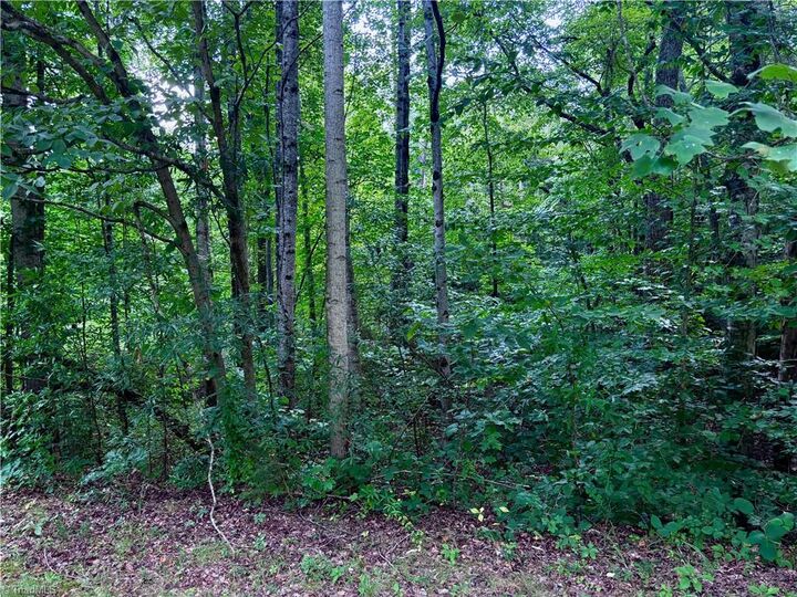 Property Photo:  2891 Millwheel Road  NC 27040 