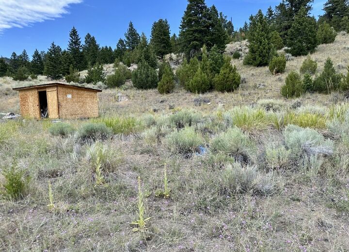 Property Photo: 426 Friend Spring Road MT 59759