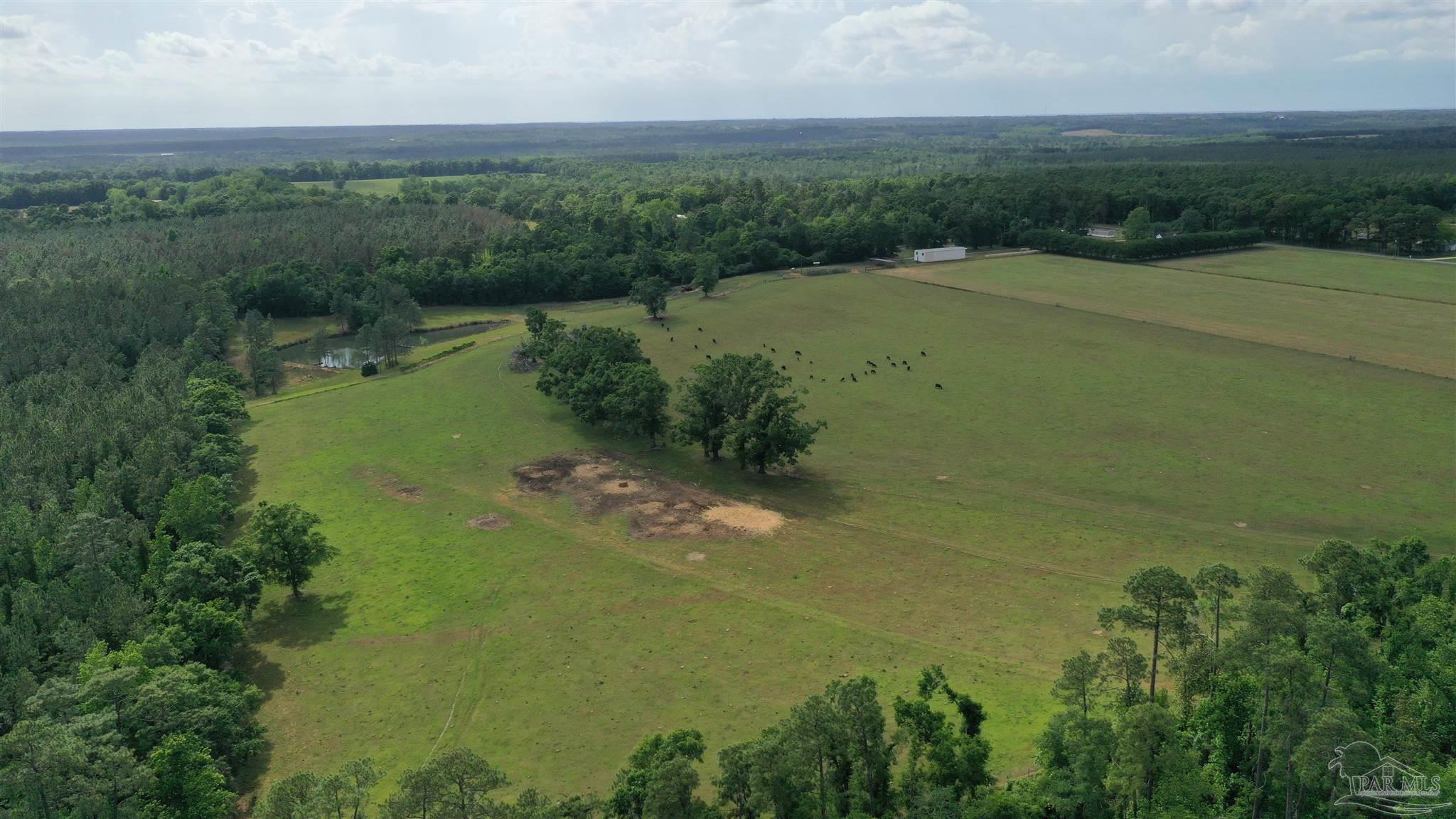 Property Photo:  Lot 6 Hall Rd  FL 32565 