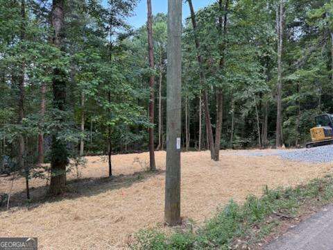Property Photo:  Lot 195 Shenendoa Drive Lot 195  GA 30540 