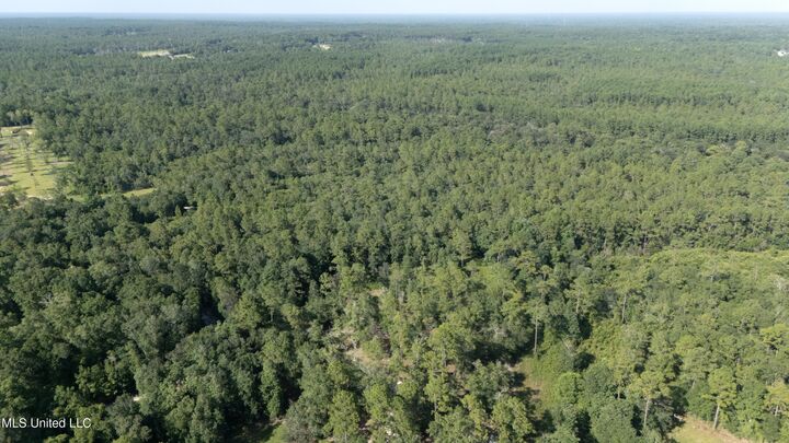 Property Photo:  Ashmore Ridge Drive  MS 39565 