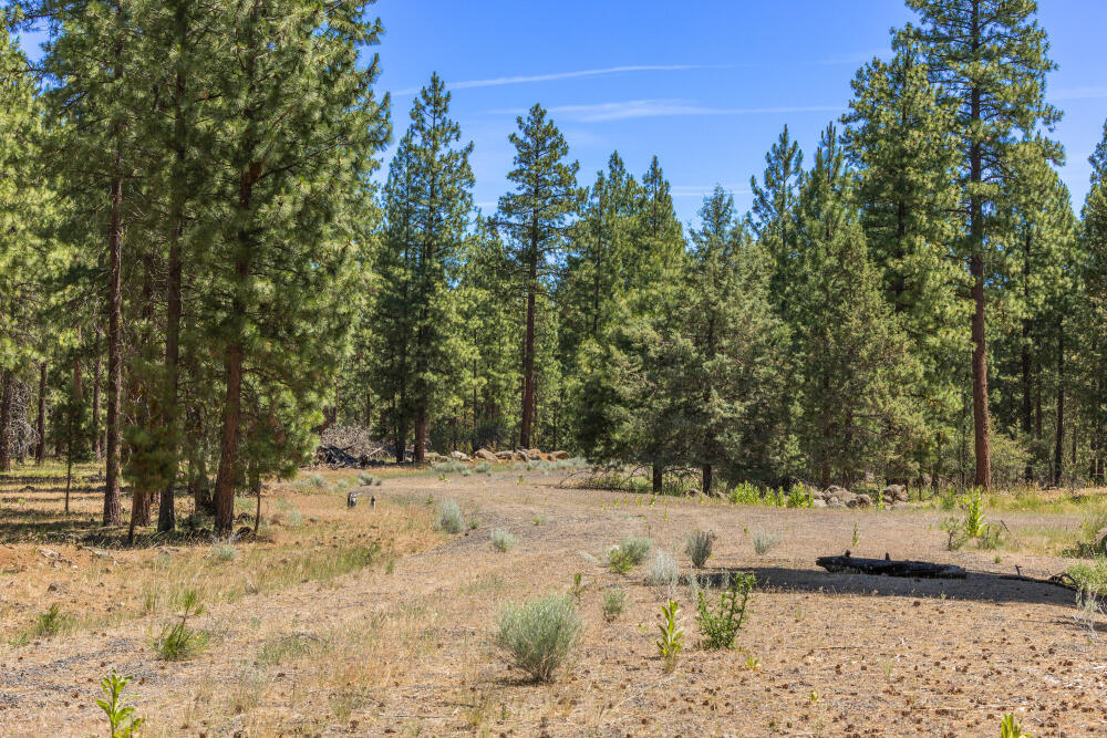 Property Photo: 0 Blue Wing Street OR 97627
