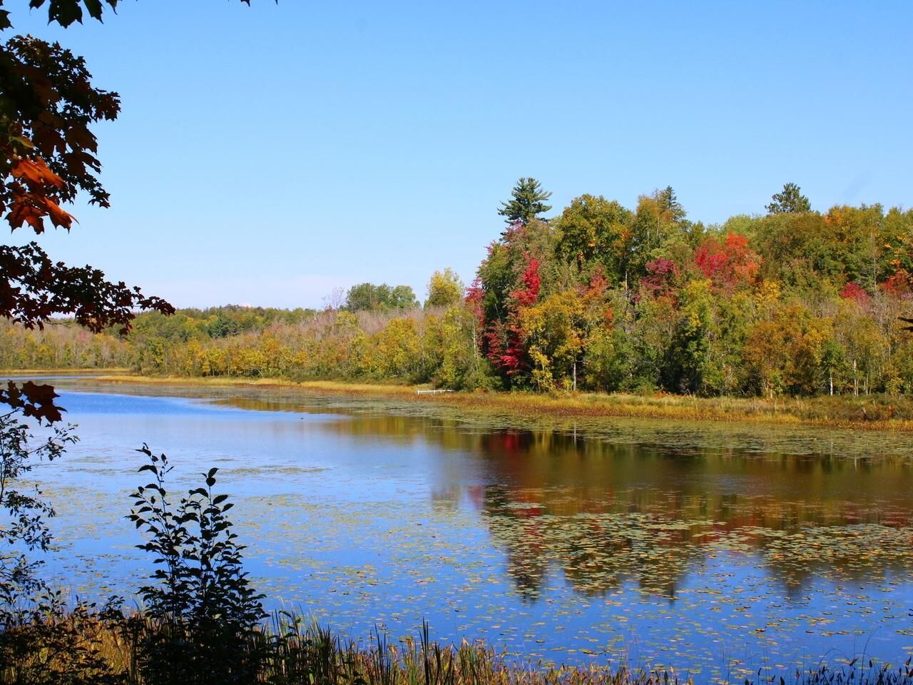Property Photo: 6064 Cramer Lake Rd WI 54547