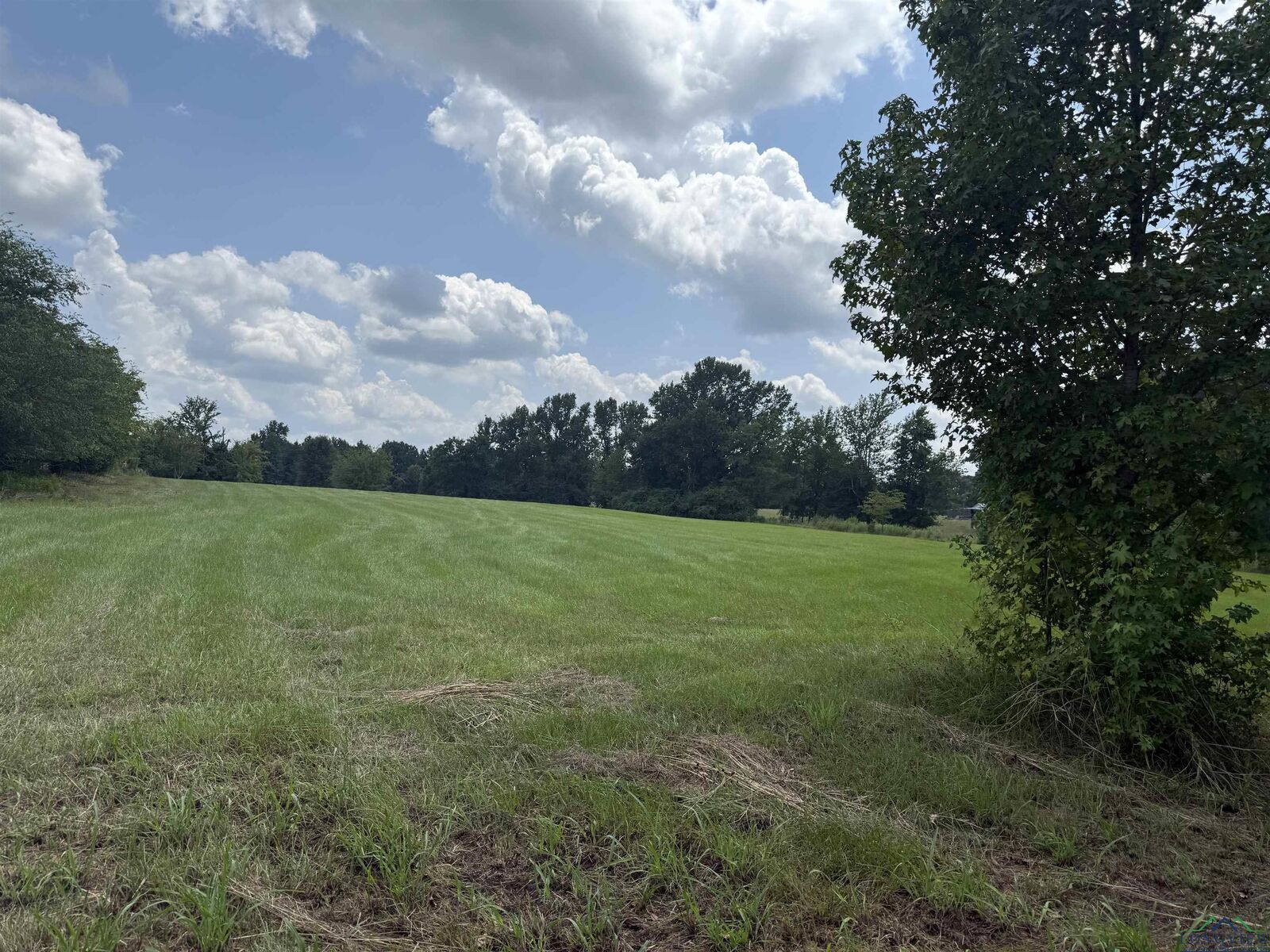 Property Photo: Tract 4 Cr 475 TX 75654