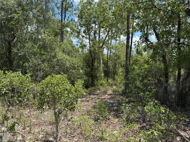 Property Photo: 00 SW Rainbow Lakes Boulevard FL 34431