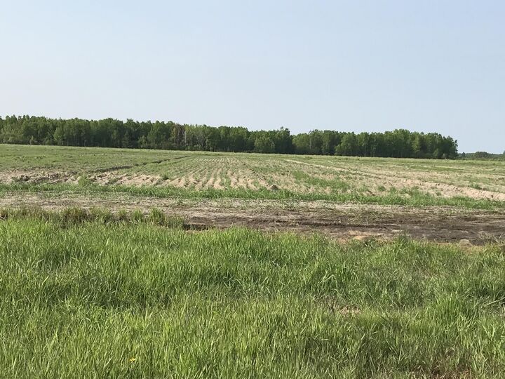 Property Photo:  Parcel A Shunk Road  MI 49783 