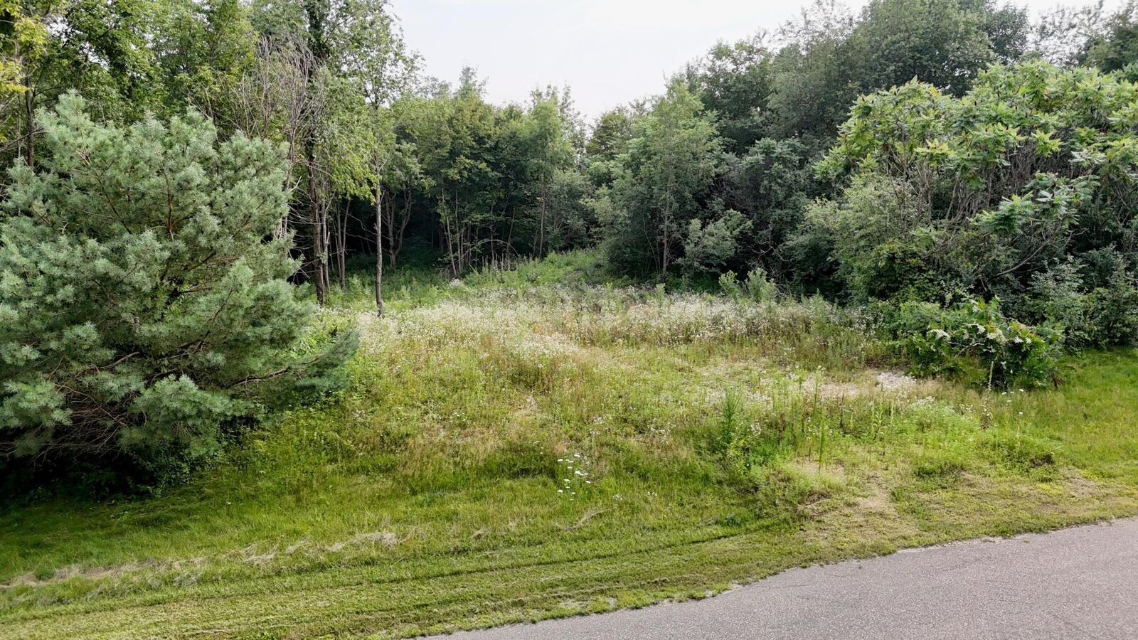 Property Photo:  Lot 10 776th Avenue  WI 54767 