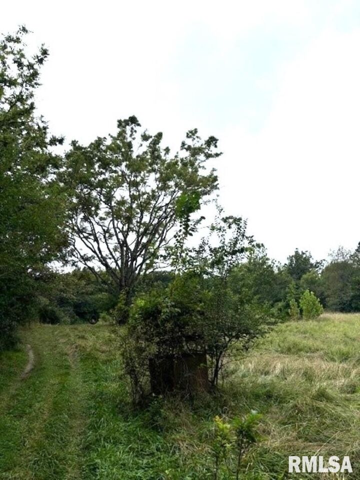 Property Photo: Tbd N Old Union Road IL 62864