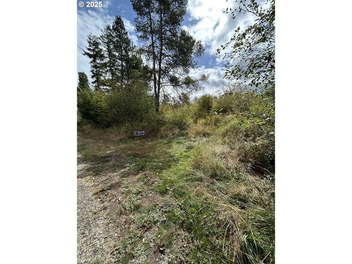 Property Photo: 0 Nicholson Rd WA 98591