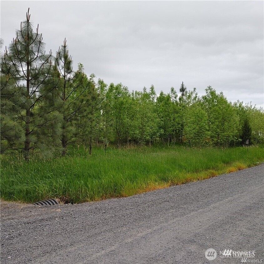 Property Photo:  0  Nicholson Road  WA 98591 