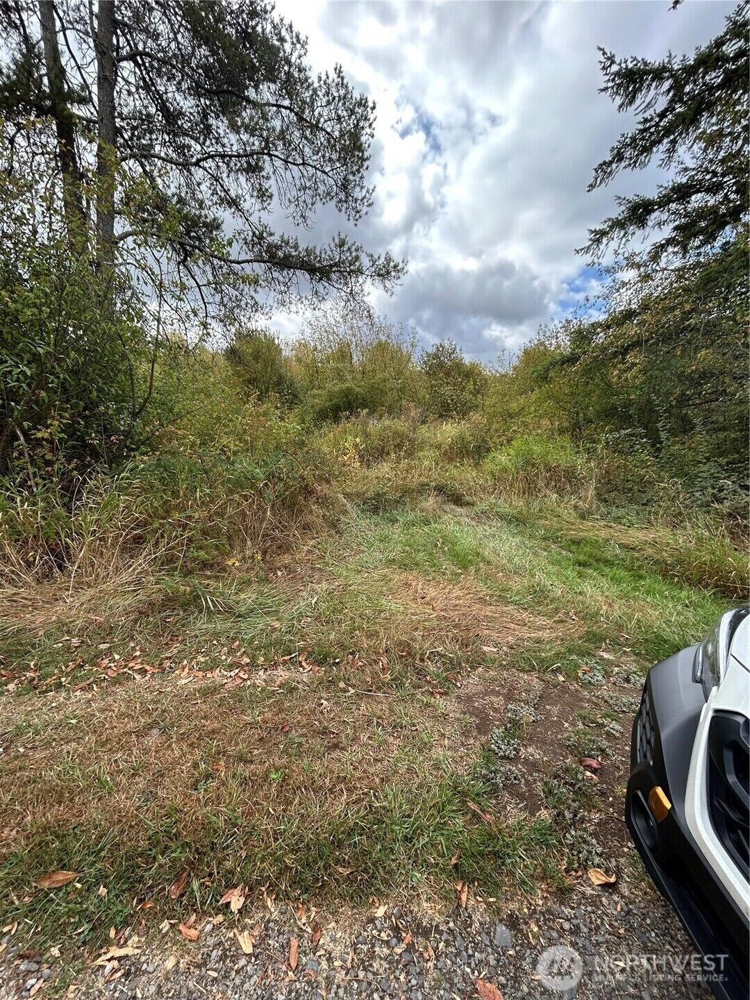 Property Photo: 0 Nicholson Road WA 98591