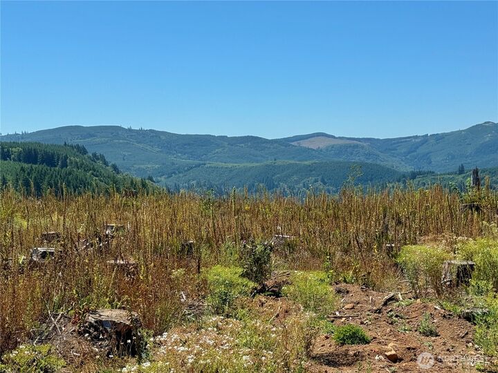 Property Photo:  3725  Little Kalama River Road 6  WA 98584 