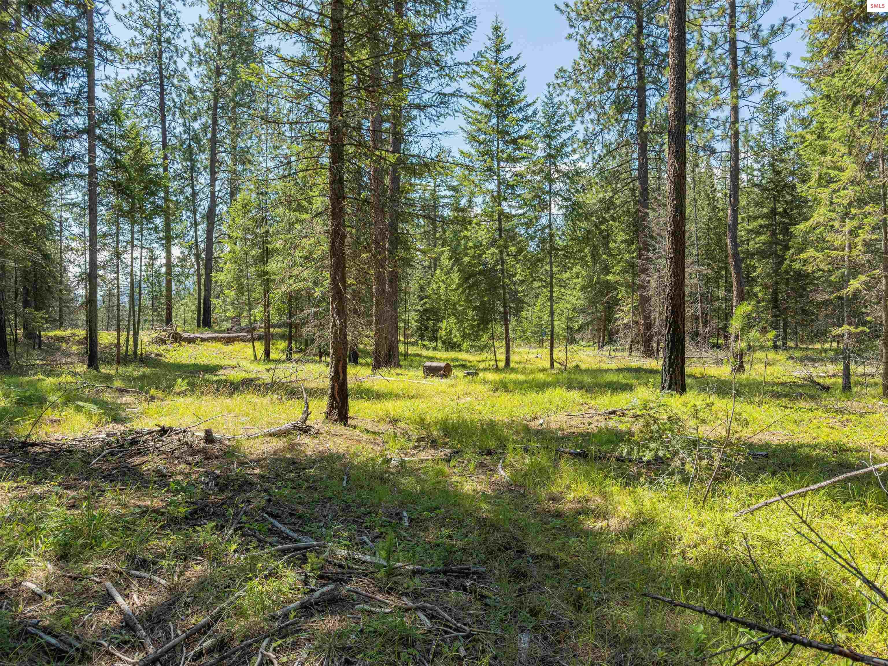 Property Photo:  631 Wolverine Rd  ID 83845 