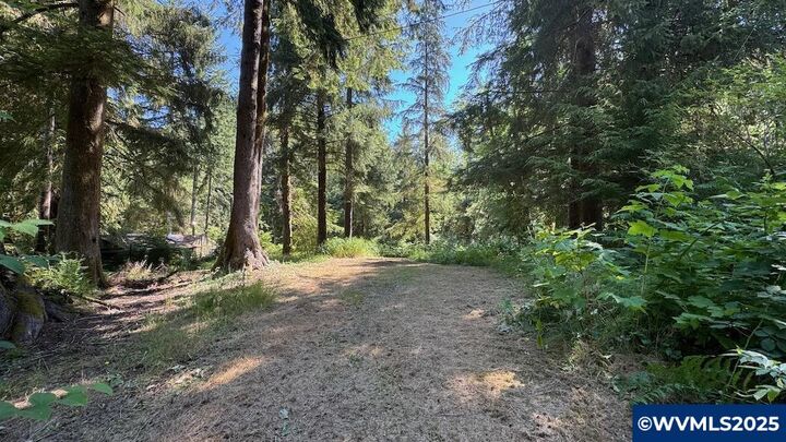 Property Photo: Lot 5 N Doris Ln OR 97368