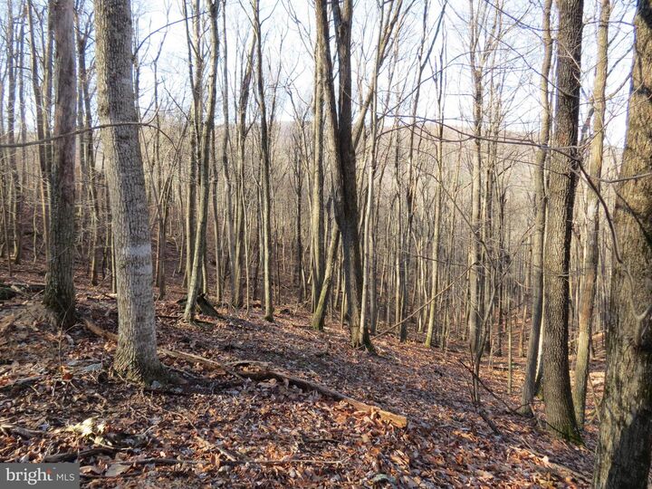 Property Photo: 12 Cedarwood Drive Road WV 26812