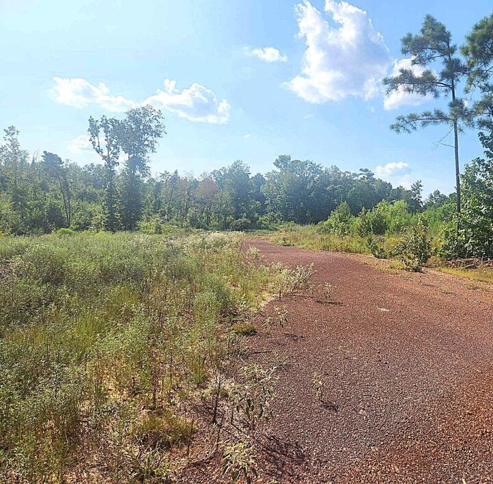 Property Photo:  Tbd Pine Bluff Road  TX 75661 