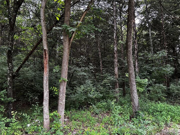 Property Photo:  237 Incline Village (Red Cedar)  MO 63348 
