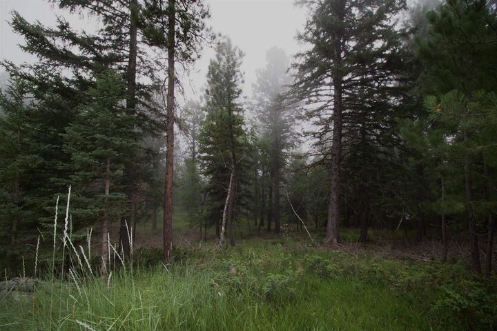 Property Photo: 12052 Little Elk Road SD 57732