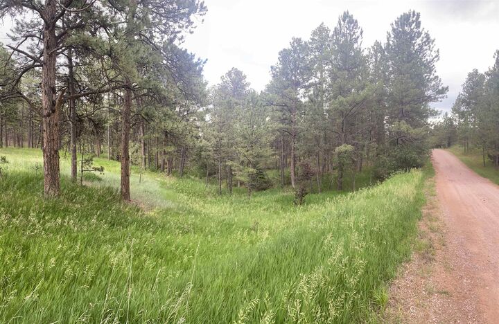 Property Photo:  Tbd Other  SD 57730 